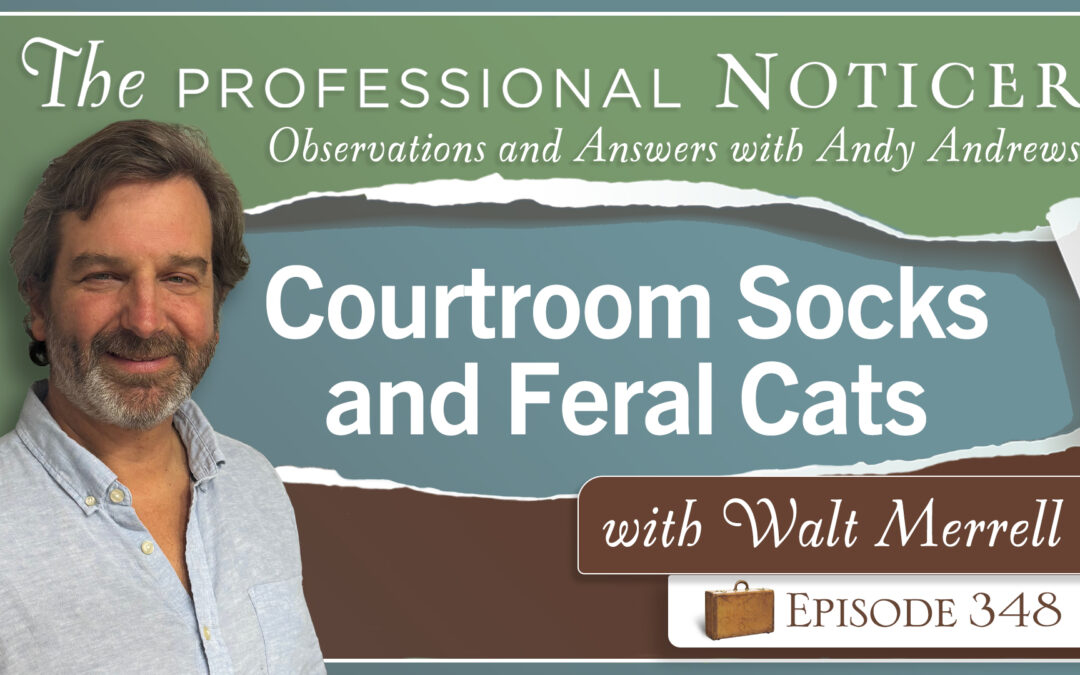 Courtroom Socks and Feral Cats with Walt Merrell