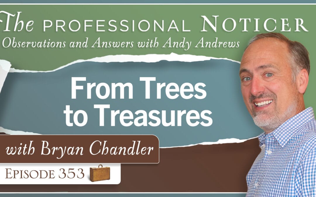 From Trees to Treasures with Bryan Chandler