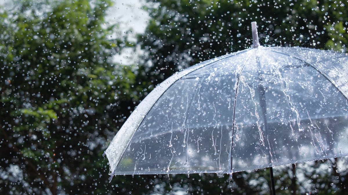 A person holding an umbrella, sheltered against the rain