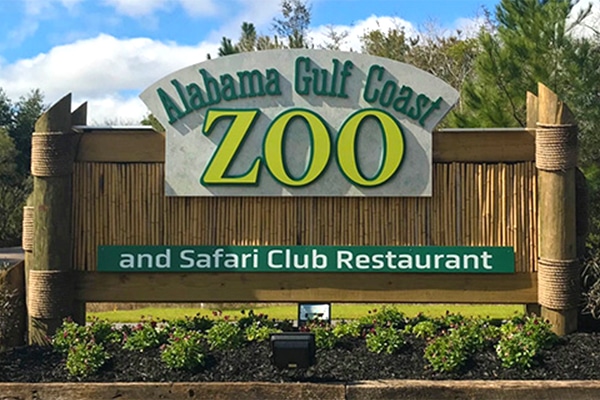 Lions and Armadillos and Bears Oh My! Life at the Alabama Gulf Coast Zoo