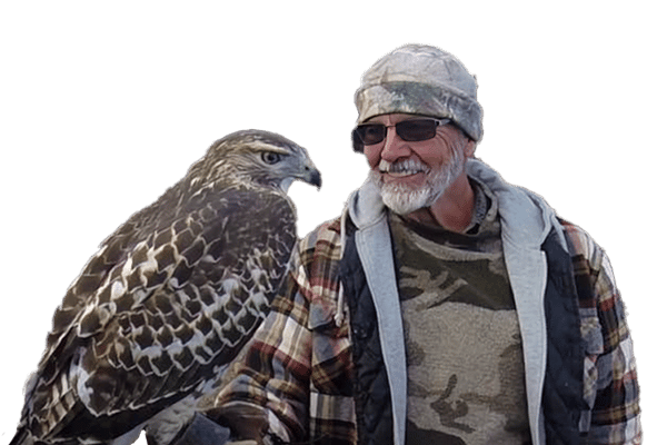 Falconry with Dan Ainsworth