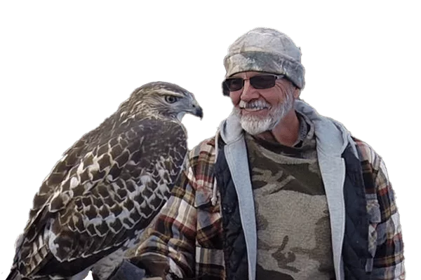 Falconry with Dan Ainsworth