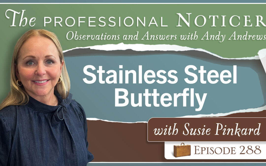 Stainless Steel Butterfly with Susie Pinkard