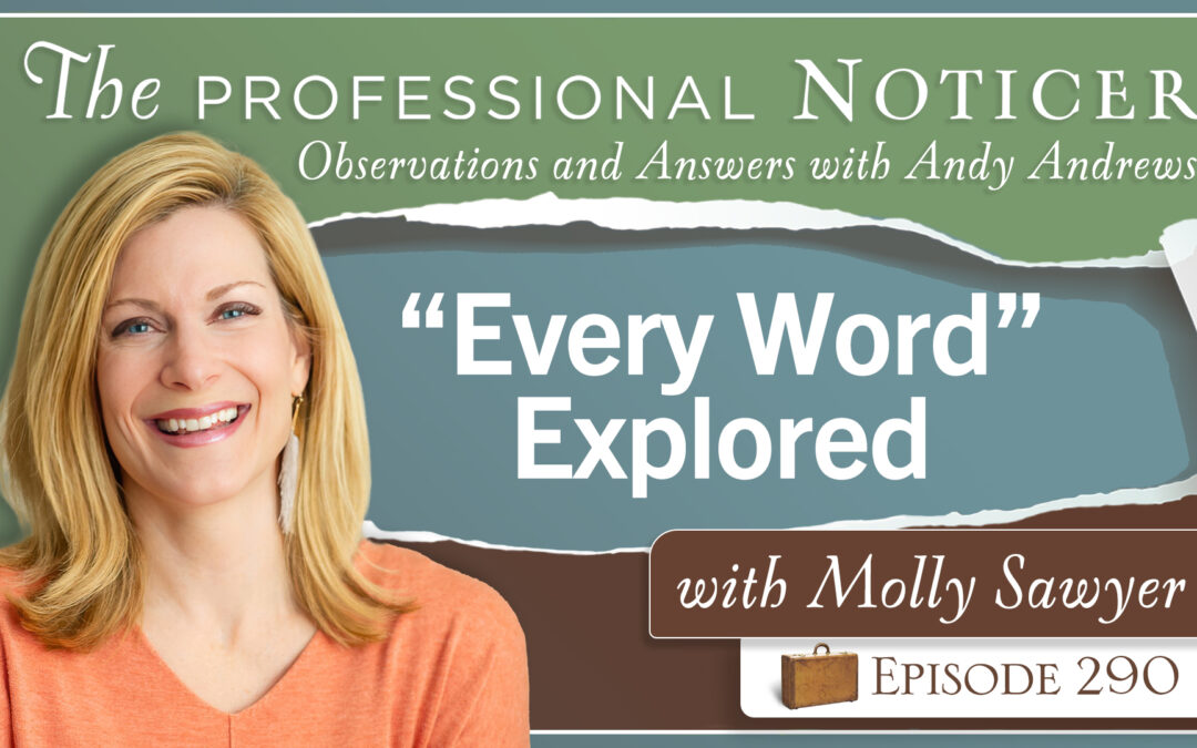 “Every Word” Explored with Molly Sawyer