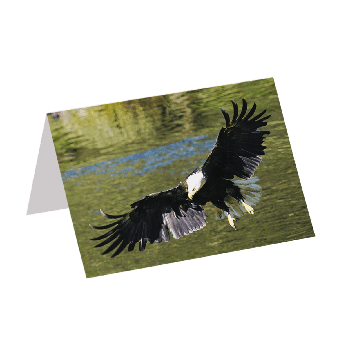 The Eagle (Greeting Card)