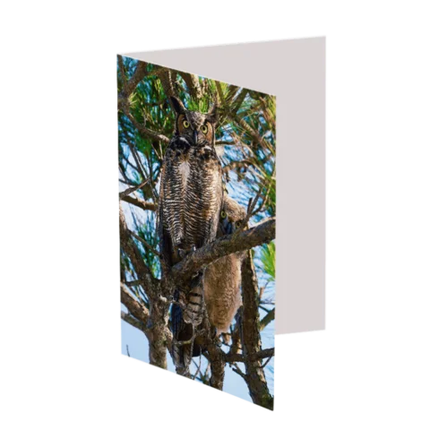 The Wise Mom (Greeting Card)
