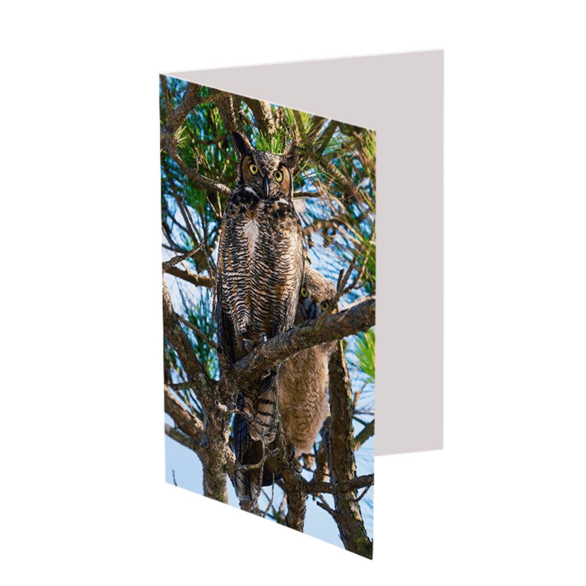 The Wise Mom (Greeting Card)