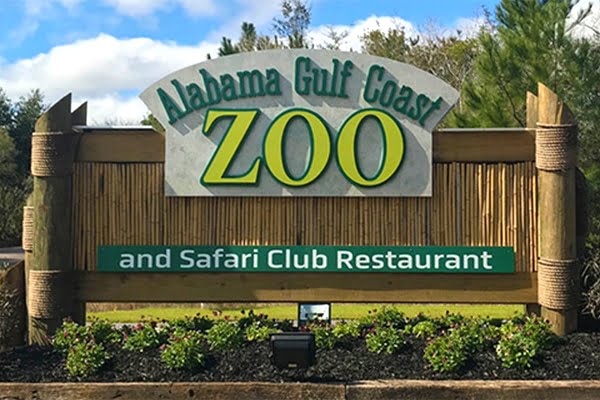 Lions and Armadillos and Bears Oh My! Life at the Alabama Gulf Coast Zoo