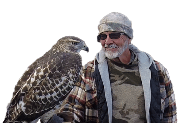 Falconry with Dan Ainsworth