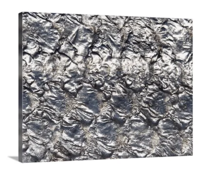 Molten ‘Cuda canvas print, signed by Andy Andrews