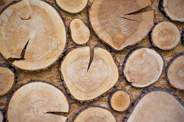 What to Do When Something Is “Pretty Much Dead”