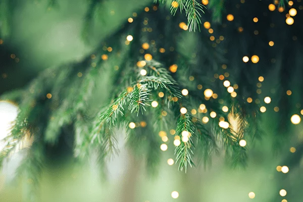 A Christmas Story To Remind You of the Reason for the Season – “A Shining Light”