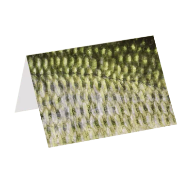 Largemouth Bass (Greeting Card)