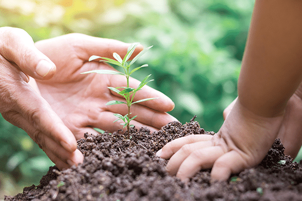 Happy New … Legacy