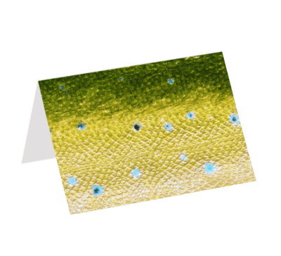 Mahi Mahi (Greeting Card)