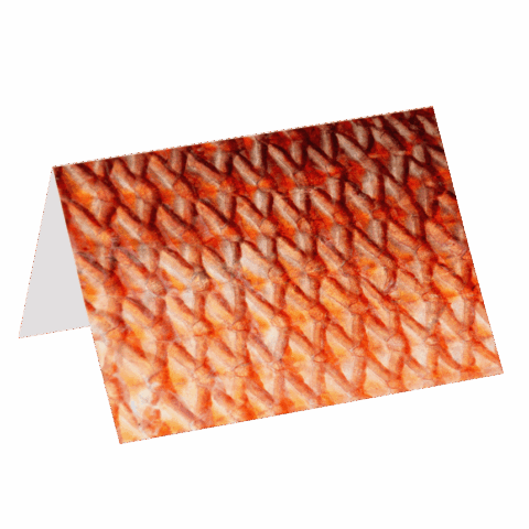 Red Snapper (Greeting Card)