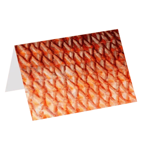 Red Snapper greeting card with a photograph by Andy Andrews