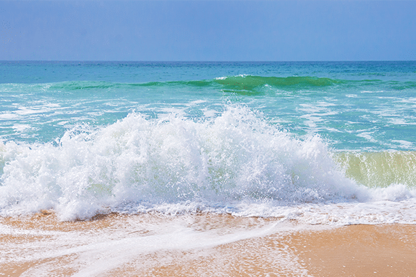 What You Don’t Know CAN Hurt You!