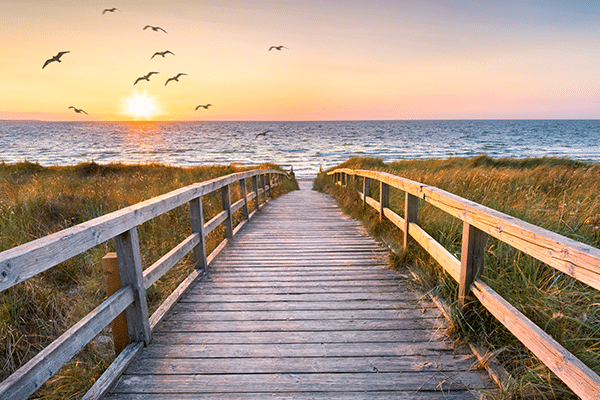 Why We Still Live Here