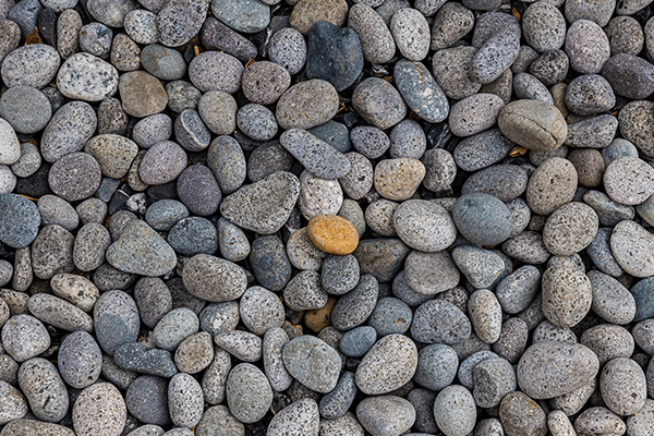 Things I Am Currently Noticing…