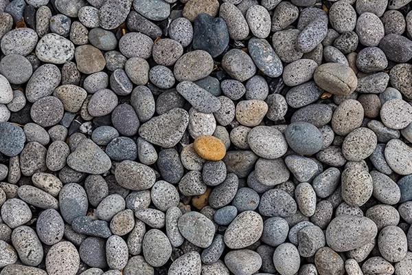 Things I Am Currently Noticing…