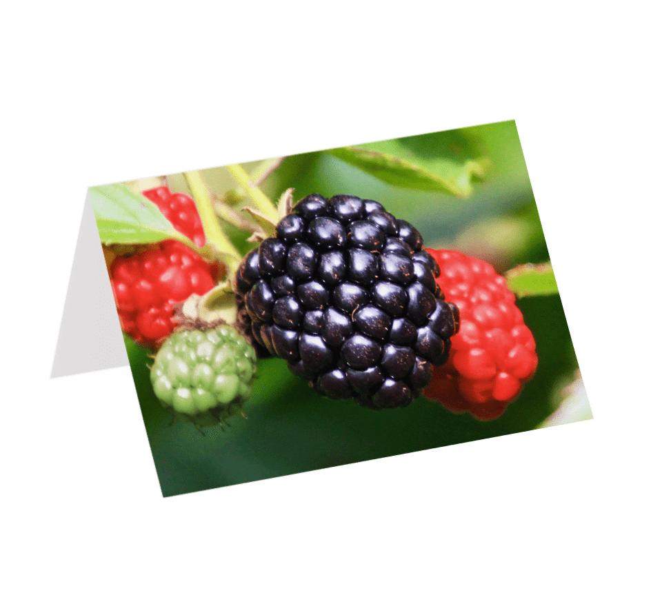 The Land Will Be Full of Berries (Greeting Card)