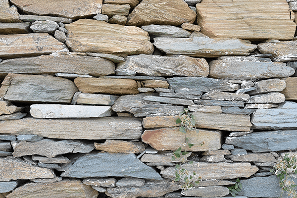 You and I Know Bad Manners When We See Them